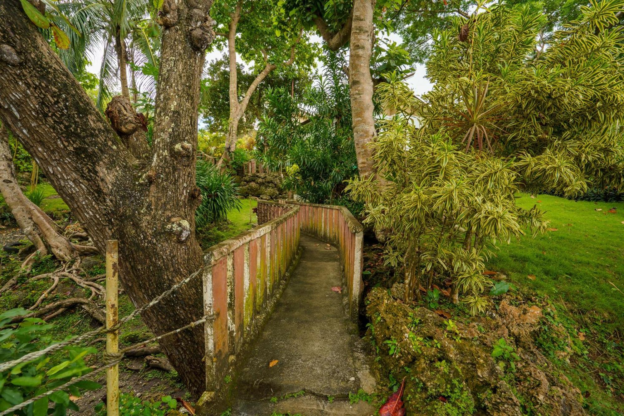 Oceanside 2 Bedroom House, 100Mbps Wifi Panglao Exterior photo