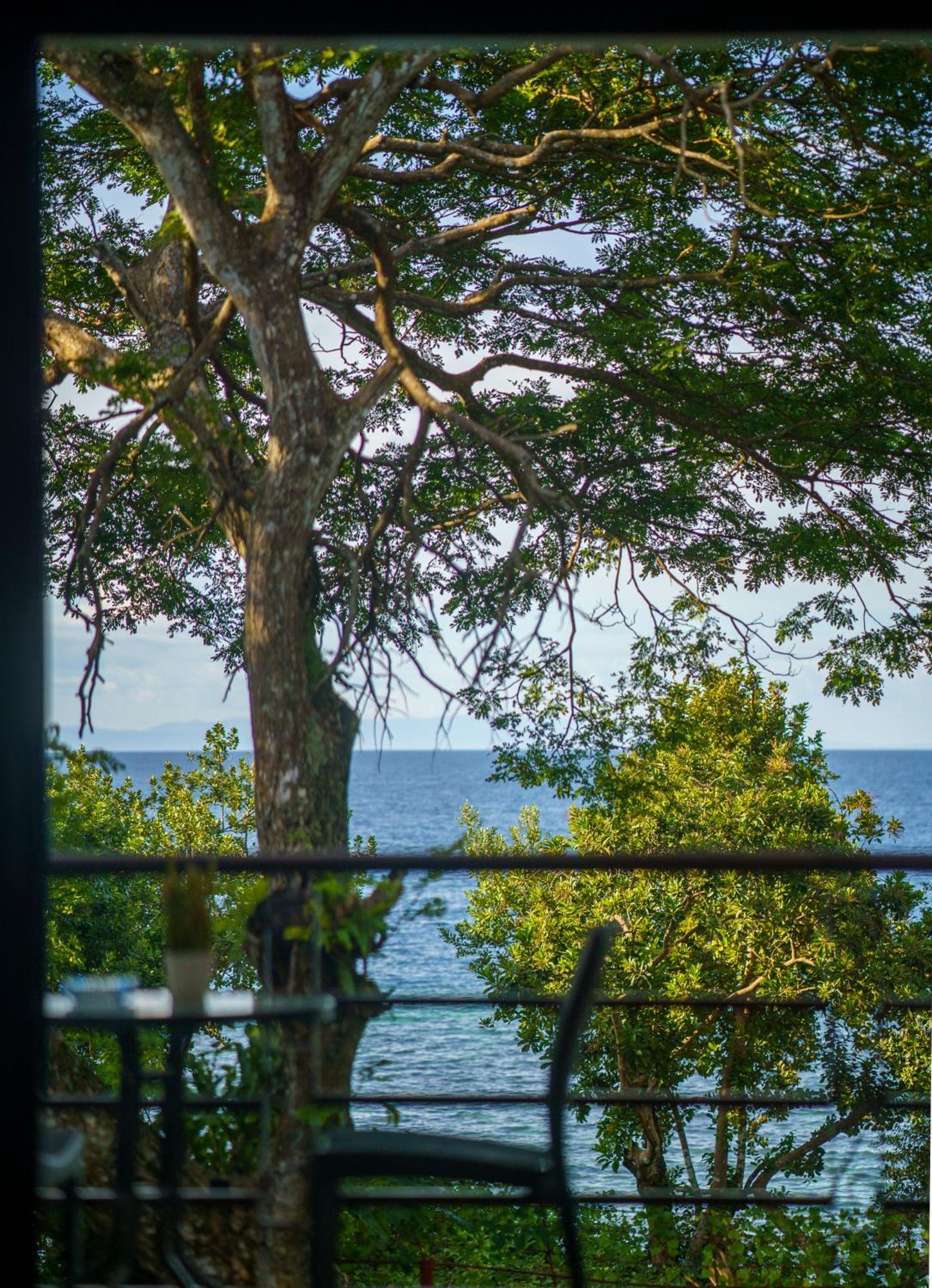Oceanside 2 Bedroom House, 100Mbps Wifi Panglao Exterior photo