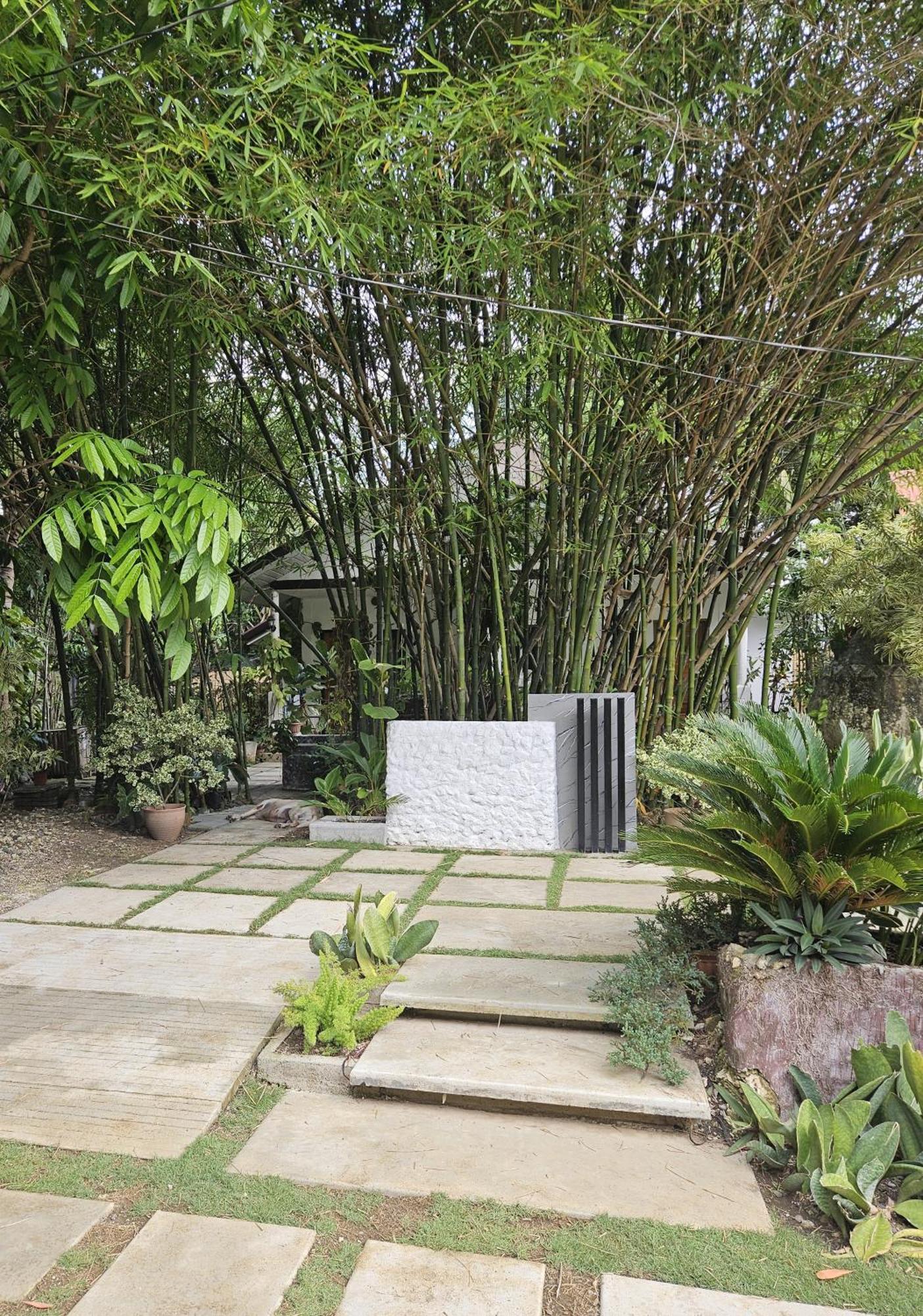 Oceanside 2 Bedroom House, 100Mbps Wifi Panglao Exterior photo